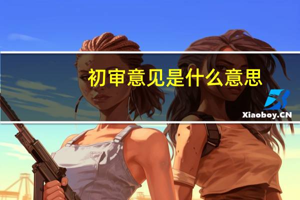 初审意见是什么意思