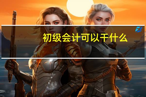 初级会计可以干什么