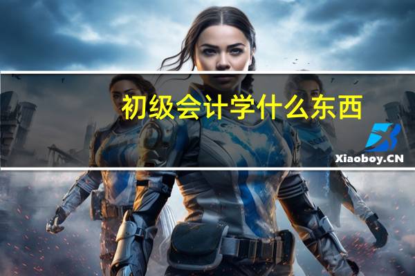 初级会计学什么东西