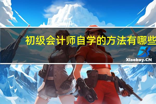 初级会计师自学的方法有哪些