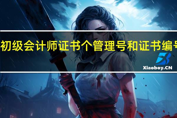 初级会计师证书个管理号和证书编号区别