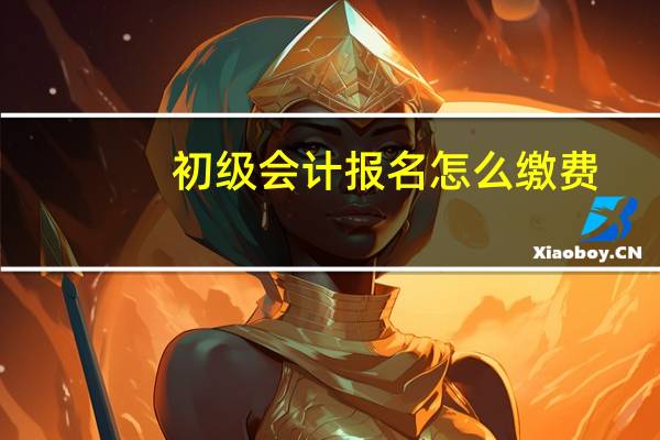 初级会计报名怎么缴费