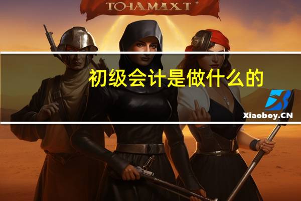 初级会计是做什么的