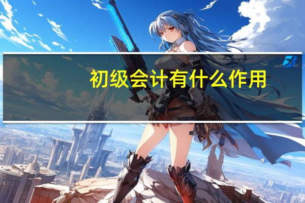 初级会计有什么作用