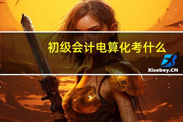 初级会计电算化考什么