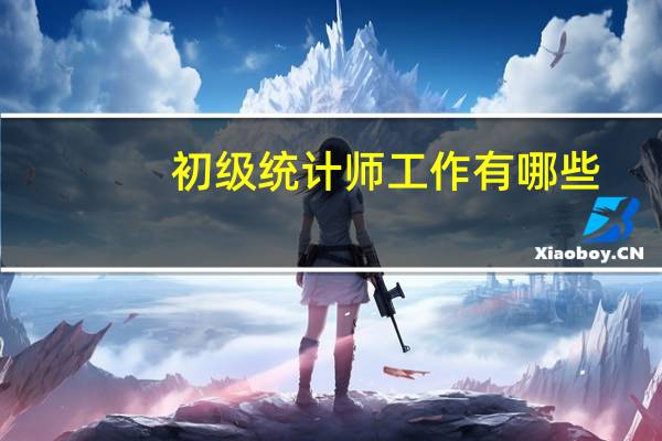 初级统计师工作有哪些