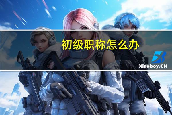 初级职称怎么办
