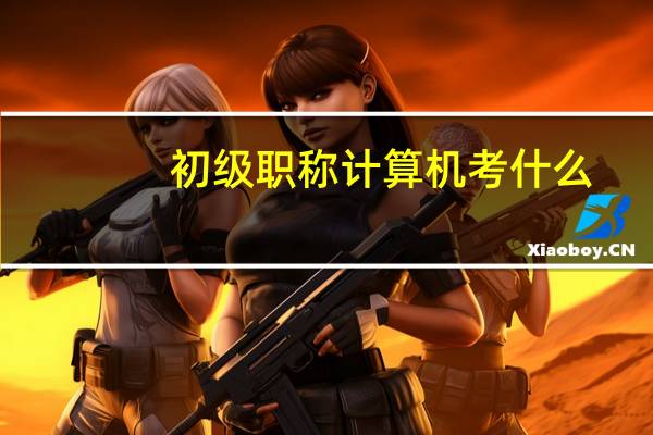 初级职称计算机考什么