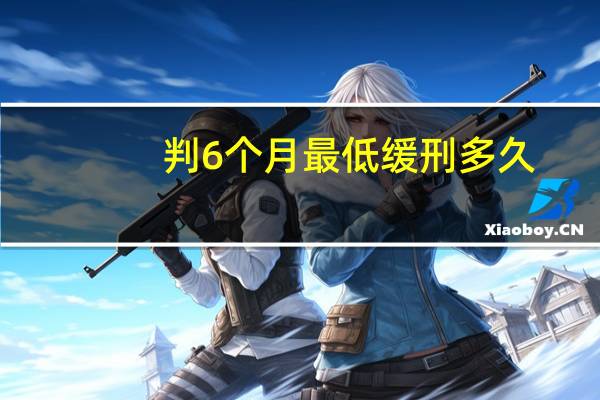 判6个月最低缓刑多久