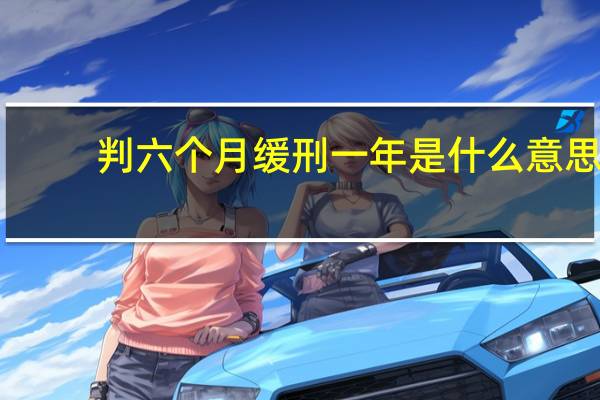 判六个月缓刑一年是什么意思