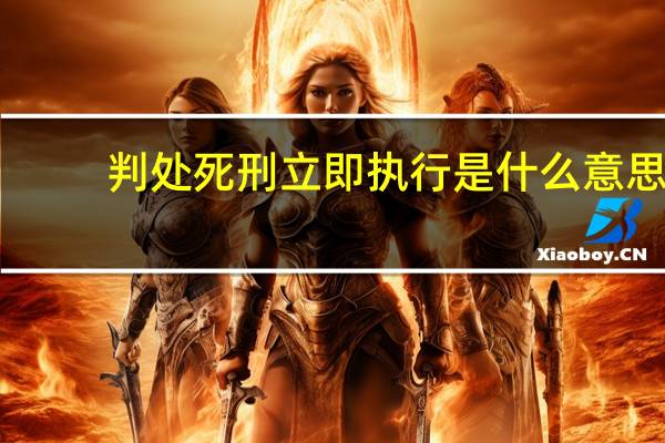 判处死刑立即执行是什么意思