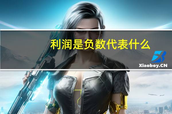 利润是负数代表什么