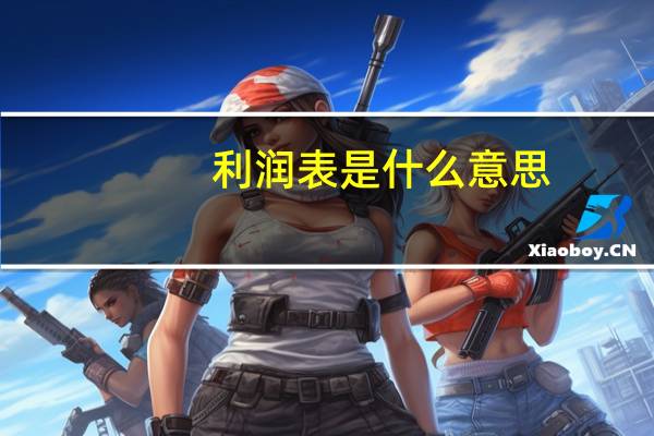 利润表是什么意思