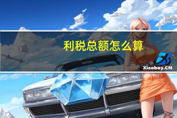 利税总额怎么算