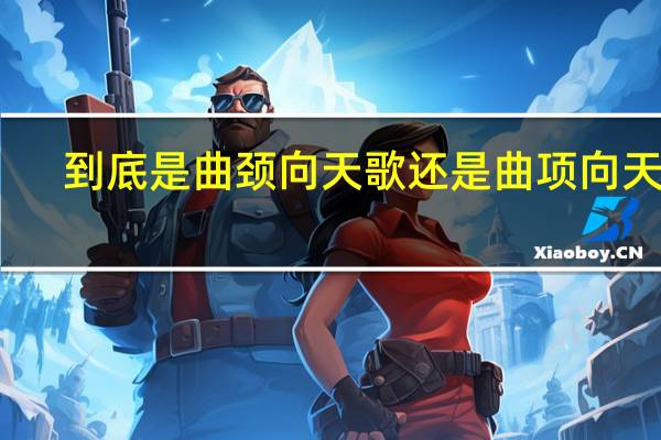 到底是曲颈向天歌还是曲项向天歌