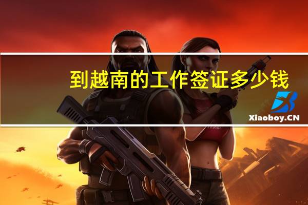 到越南的工作签证多少钱(到越南的工作签证多少钱啊)