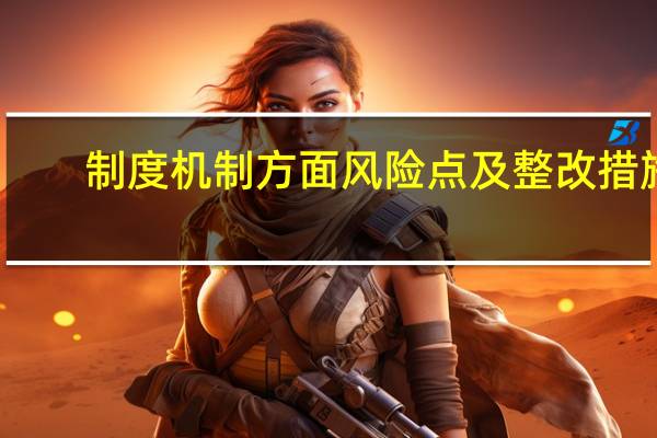 制度机制方面风险点及整改措施