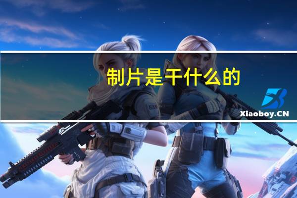 制片是干什么的