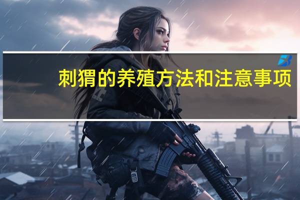 刺猬的养殖方法和注意事项