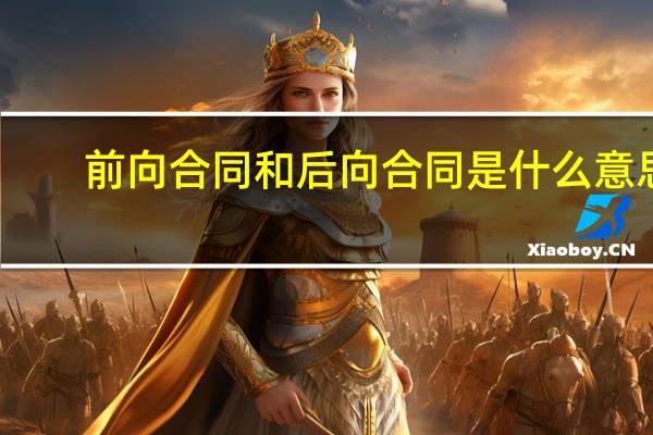 前向合同和后向合同是什么意思