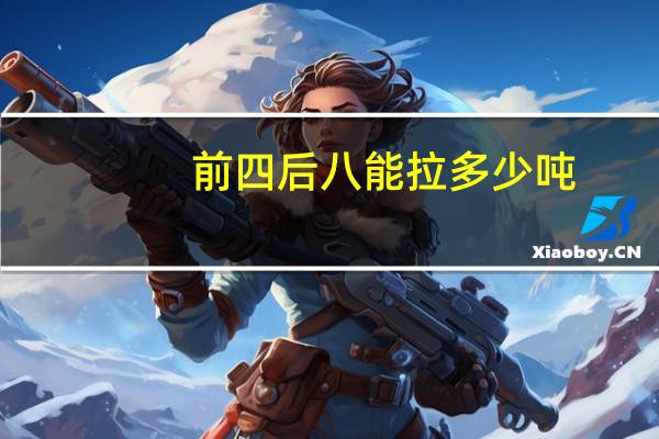前四后八能拉多少吨