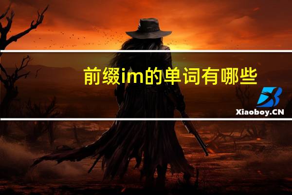 前缀im的单词有哪些