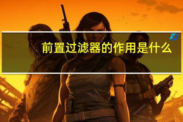 前置过滤器的作用是什么