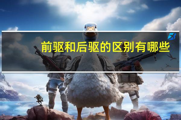 前驱和后驱的区别有哪些