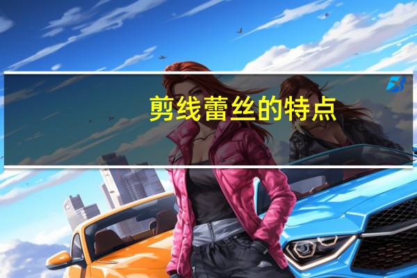 剪线蕾丝的特点