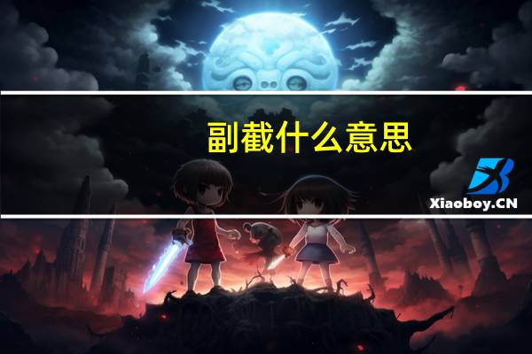 副截什么意思
