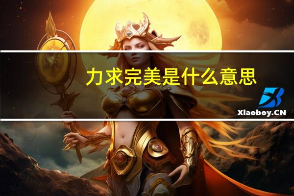 力求完美是什么意思
