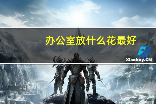 办公室放什么花最好