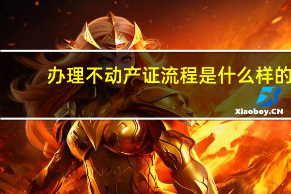 办理不动产证流程是什么样的