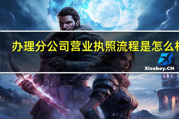 办理分公司营业执照流程是怎么样的