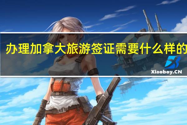 办理加拿大旅游签证需要什么样的流程