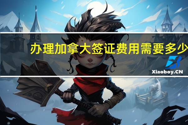 办理加拿大签证费用需要多少