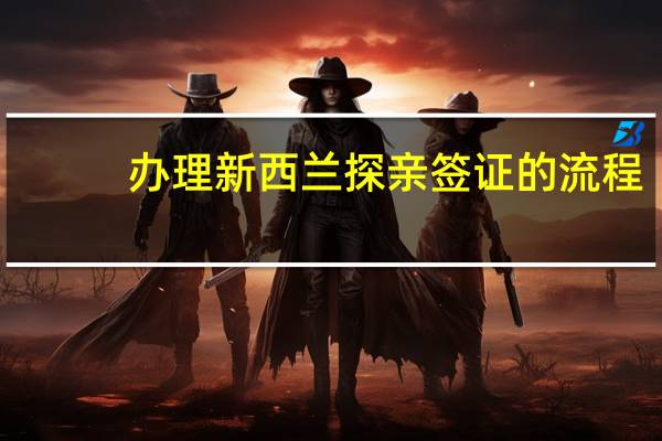 办理新西兰探亲签证的流程