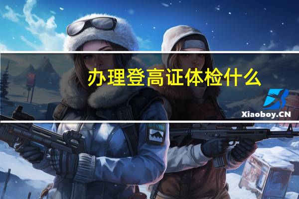 办理登高证体检什么