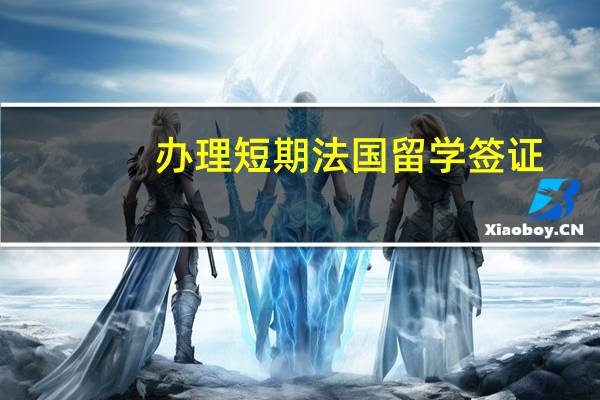 办理短期法国留学签证(法国留学签证申请)