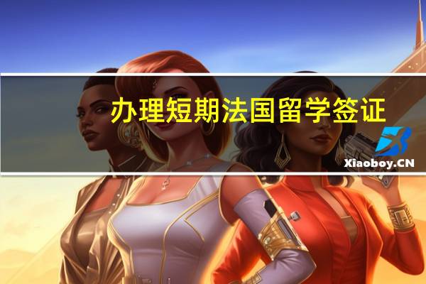 办理短期法国留学签证(法国留学签证申请)