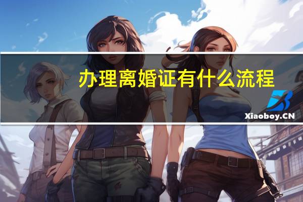 办理离婚证有什么流程