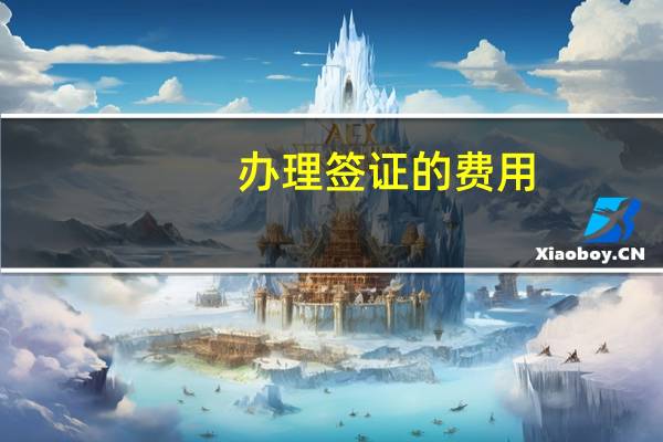 办理签证的费用