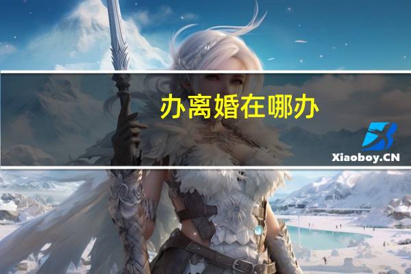 办离婚在哪办