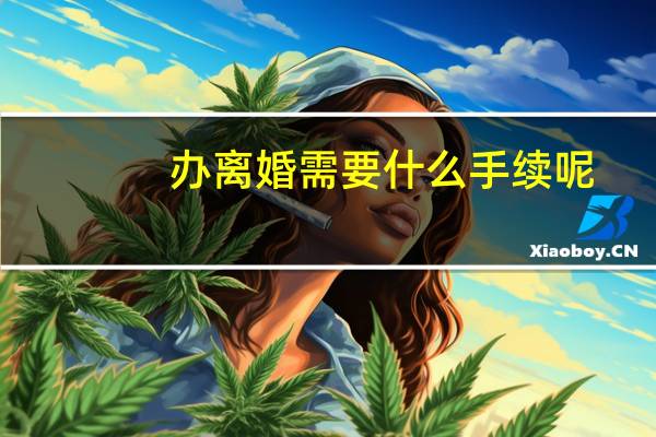 办离婚需要什么手续呢