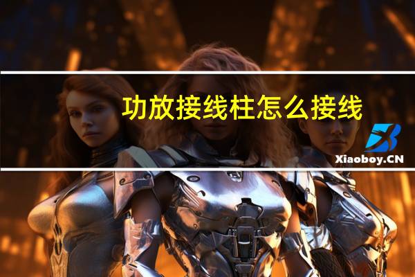 功放接线柱怎么接线