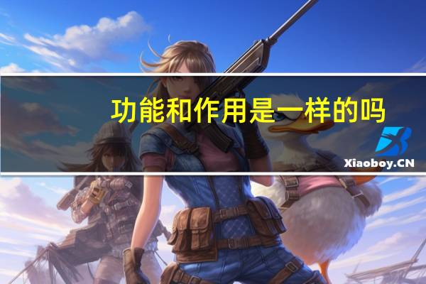 功能和作用是一样的吗