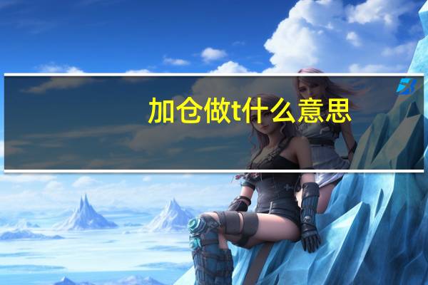 加仓做t什么意思