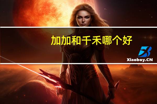加加和千禾哪个好