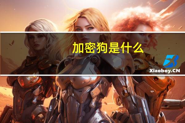 加密狗是什么