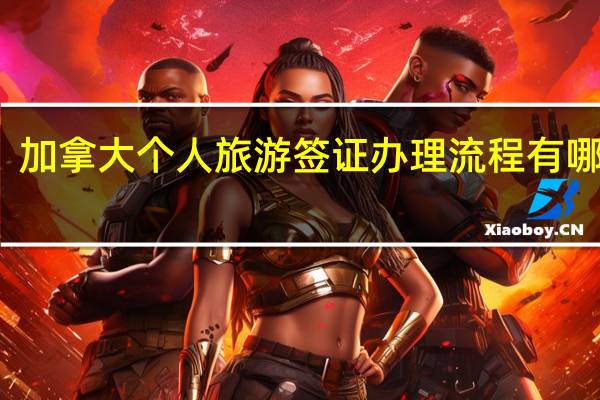 加拿大个人旅游签证办理流程有哪些呢？